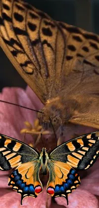 This phone live wallpaper features a beautiful, vibrant butterfly perched atop a pink flower