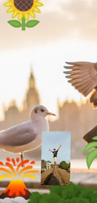 Introducing a lively and colorful smartphone wallpaper that showcases a picturesque bird perched on a ledge with the iconic Big Ben tower at the backdrop
