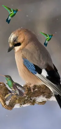 This stunning live wallpaper showcases a group of birds perched on a tree branch, set against a colorized photo