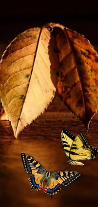 This live wallpaper features two butterflies resting on a wooden table amidst falling leaves