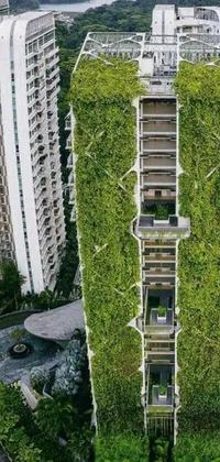 Nature Plant Building Live Wallpaper