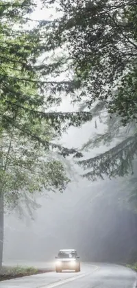 Check out this amazing live wallpaper for your phone featuring a vintage car driving through an old growth forest on a foggy day
