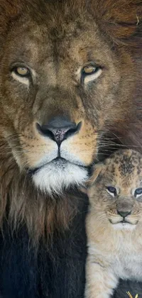 This stunning phone live wallpaper depicts a majestic lion and adorable baby cub in a heartwarming portrait