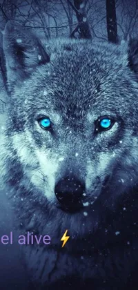 Bring a touch of the wild to your phone with this striking live wallpaper