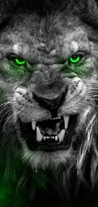 This striking live wallpaper features a close-up of an angry lion with stunning emerald green eyes