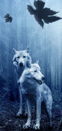 Nature Plant Carnivore Live Wallpaper