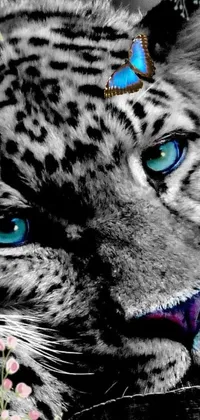 This live phone wallpaper depicts a close-up of a black and white leopard with bright blue eyes