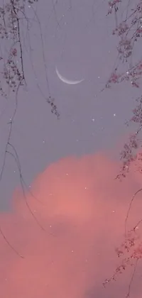 This live wallpaper features a breathtaking crescent moon amidst the branches of a tree in a serene, aesthetically pleasing setting