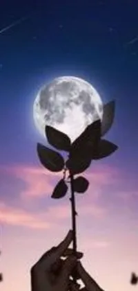 Looking for a charming live wallpaper to enhance your phone screen? Check out this cute and adorable 240p avatar live wallpaper! Featuring a black silhouette holding a pink rose against a bright full moon, this live wallpaper is perfect to add some charm to your phone