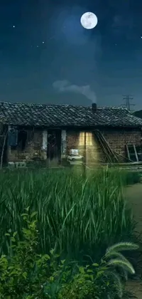 This live wallpaper for phone features a peaceful scene of a house at night, surrounded by a lush field under a full moon