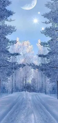 This live wallpaper displays a winter wonderland with a snow-covered road, diamond trees, and a blue and white color scheme