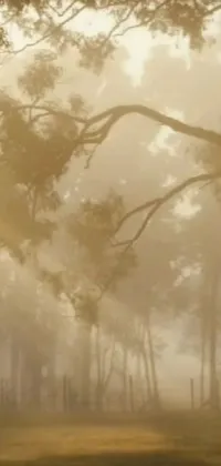 Experience the beauty of nature with this stunning live wallpaper featuring a horse standing amid the grass in a foggy forest