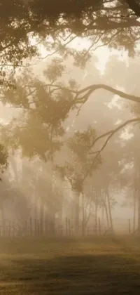 This stunning live wallpaper for your phone features a magnificent horse in a lush green meadow and a beautiful matte painting of an Assam tea garden, surrounded by towering trees in a misty forest