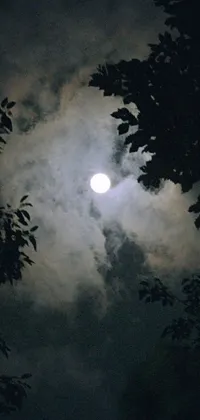 This mobile live wallpaper features a mystical and tranquil scene of a full moon shining through a forest