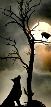 This live wallpaper depicts a green-eyed cat perched on a twisted tree branch against the backdrop of a striking full moon