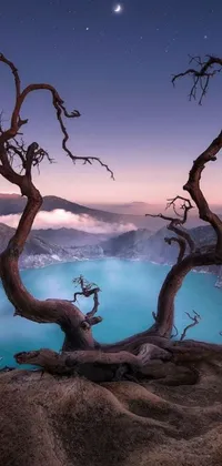 This 3D 4K live wallpaper features a breathtaking scene of a tree perched on a rock overlooking a peaceful body of water