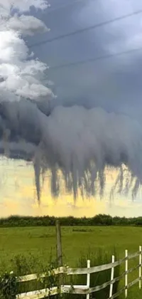 Nature Plant Cloud Live Wallpaper
