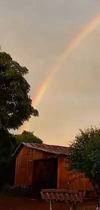 This live wallpaper features a picturesque farm scene in Chile, where a charming rainbow appears in the sky during magic hour after a rain
