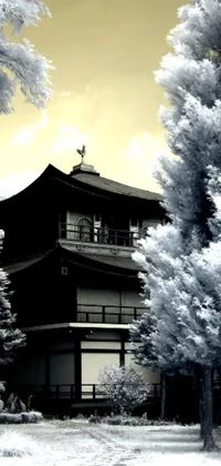 This phone live wallpaper features a stunning infrared, black and white photograph of an ancient building surrounded by verdant trees