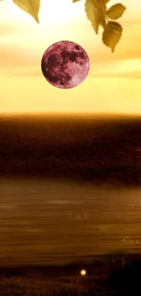 This mesmerizing live wallpaper for your phone depicts a close-up of a tree against a mystifying backdrop of a full moon and gold and purple hues