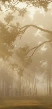 This Phone Live Wallpaper depicts a serene scene of a horse standing peacefully under a tree in a misty forest
