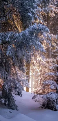 Experience the magic of a snowy forest with this captivating live wallpaper