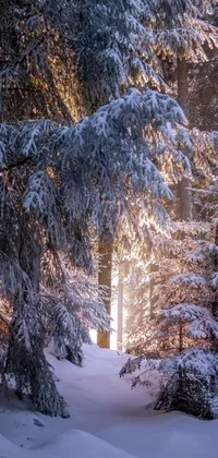 Magical Winter Wonderland with Heart Cloud Digital Background