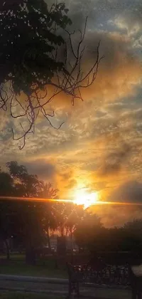 Enjoy a stunning live wallpaper with a park bench on a lush green field with a brilliant sunset in the clouds