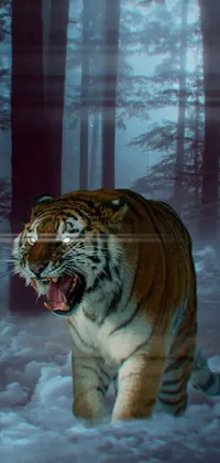 This phone live wallpaper showcases a majestic tiger strolling through a tranquil forest covered in snow