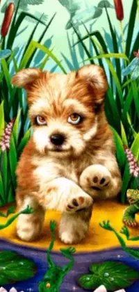 Introducing a Lisa Frank Live Wallpaper with a adorable furry dog standing in lush green grass
