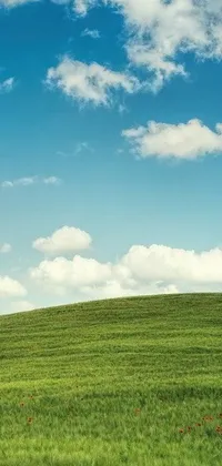 Looking for a minimalistic and serene live wallpaper for your phone? Our design features a beautiful green grass field and blue sky background, evocative of historical Renaissance art