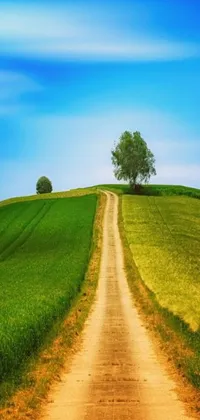 Enjoy the serenity of nature with this phone live wallpaper, featuring a winding dirt road through a verdant green field, with a charming naive art style