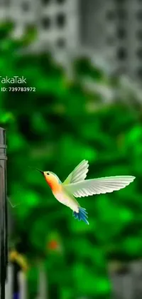 This phone live wallpaper features a stunning bird in flight, portrayed in an airbrush painting style
