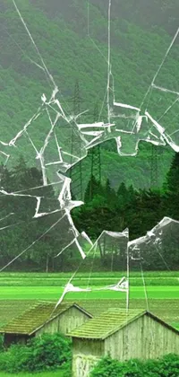 Introducing a unique live wallpaper with a broken window in the middle of a green field