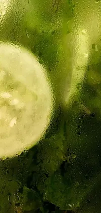 This phone live wallpaper showcases a serene and refreshing scene of sliced cucumbers in a bowl of water, with a soft frosted glass effect and digital art style