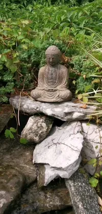 This live wallpaper features a serene Buddha statue sitting on a pile of rocks with a picturesque garden in the background