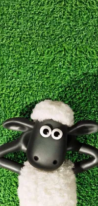 This phone live wallpaper features a serene landscape with a black and white sheep resting on a lush green field