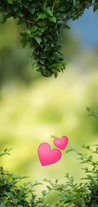 Bring a touch of romance to your phone with this live wallpaper featuring two pink hearts resting on a lush green field