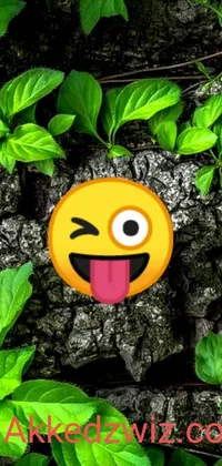 This phone live wallpaper features a colorful plant close-up with a smiley face on its bark