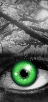 This live wallpaper features a captivating green-eyed beauty, inspired by the work of H