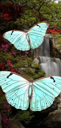 This phone background showcases a couple of blue butterflies perched on a serene waterfall