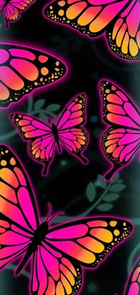 This live phone wallpaper showcases a gorgeous group of colorful butterflies set against a black background