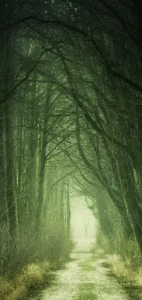 This phone live wallpaper features a serene scene of a dirt road in a forest