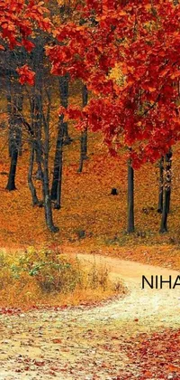 This stunning phone live wallpaper showcases a vibrant red fire hydrant situated in the heart of a tranquil forest, surrounded by an array of rich autumn-hued colors