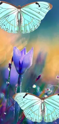 This phone live wallpaper features a romantic scene of two butterflies perched on a vibrant purple flower