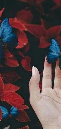 This stunning live phone wallpaper showcases a hand bearing a realistically rendered butterfly tattoo with a naturalistic aesthetic