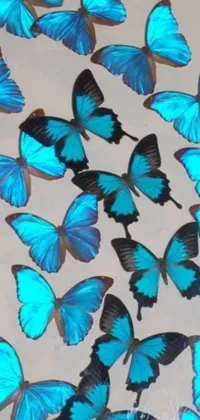 Elevate your phone's aesthetic with this mesmerizing blue butterfly live wallpaper