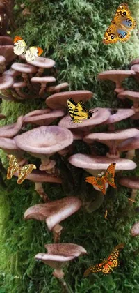 This phone live wallpaper features a vibrant cluster of mushrooms growing on a tree, accompanied by a steampunk butterfly