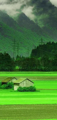 This live phone wallpaper depicts a serene green field with a charming wood cabin nestled in a natural mountain valley