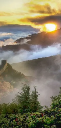 This picturesque phone live wallpaper showcases a majestic castle seated atop a lush green hillside in autumn